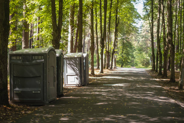 Affordable portable toilet rental in Albion, MI